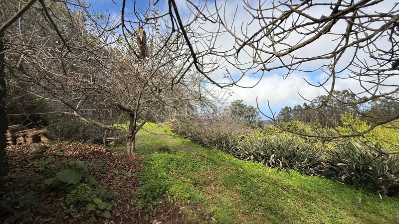 Foto 052e5e8a-8470-476e-96f1-e23a99a7ba86. Masia amb aparcament piscina a Moya