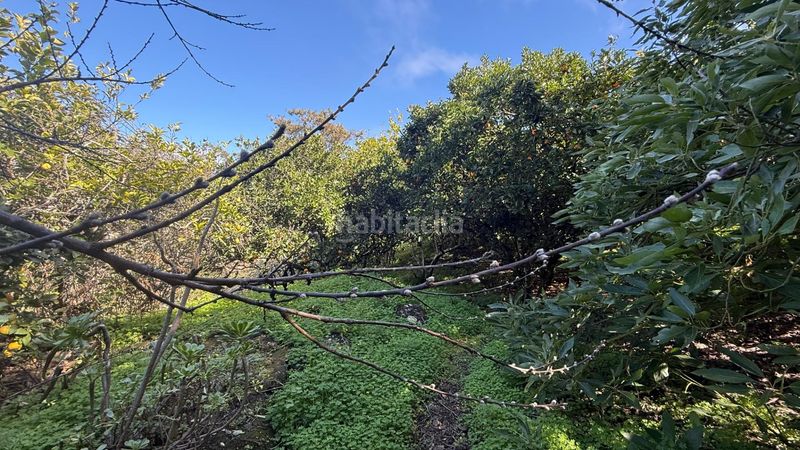 Foto 1084890b-4741-4215-9c90-0cc5c653743b. Masia amb aparcament piscina a Moya