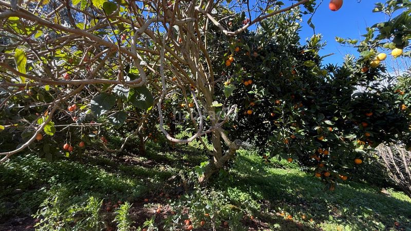 Foto 2054276c-96c6-4860-ab2e-6d14cbbd0c37. Masia amb aparcament piscina a Moya