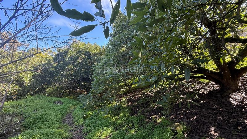 Foto 2dc08392-65f7-4673-b2da-f834d54b1c81. Masia amb aparcament piscina a Moya