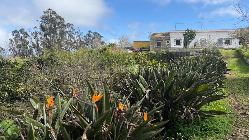 Foto 30baf218-f0e7-49c9-b058-fbbf77ec265f. Masia amb aparcament piscina a Moya