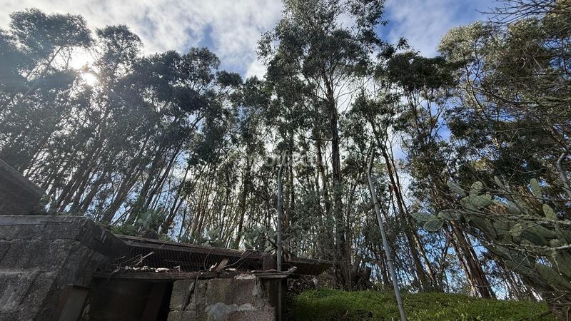 Foto 53dde490-89d1-4ef2-9083-8e0a6ea39cff. Masia amb aparcament piscina a Moya