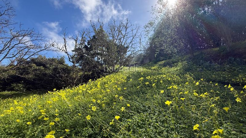 Foto 546bacc4-7e4e-4d78-84e6-f39a6965832d. Masia amb aparcament piscina a Moya