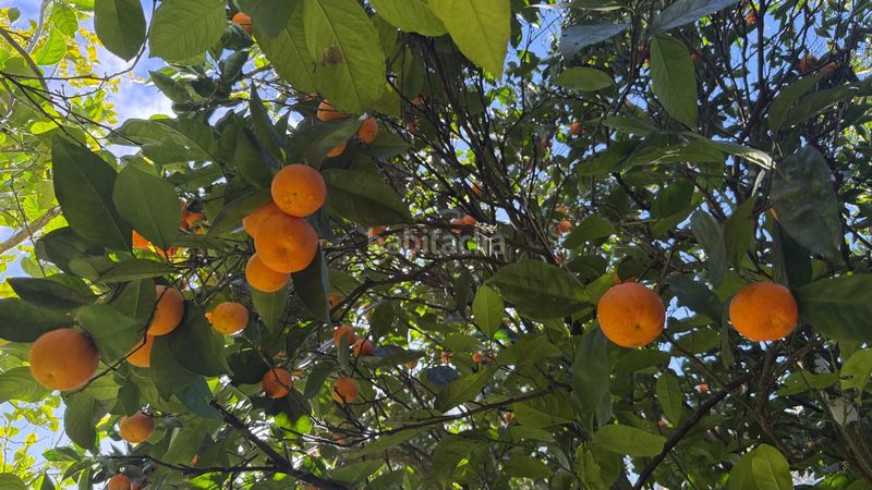Foto 81870116-9bb9-4911-b30b-65786cf699a9. Masia amb aparcament piscina a Moya