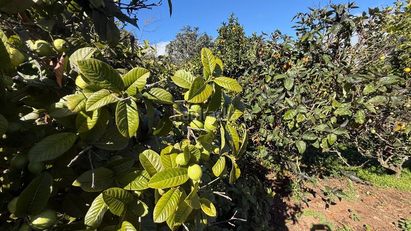 Foto 8f1b8c3d-a74a-410a-b1ac-fd99baadfc74. Masia amb aparcament piscina a Moya