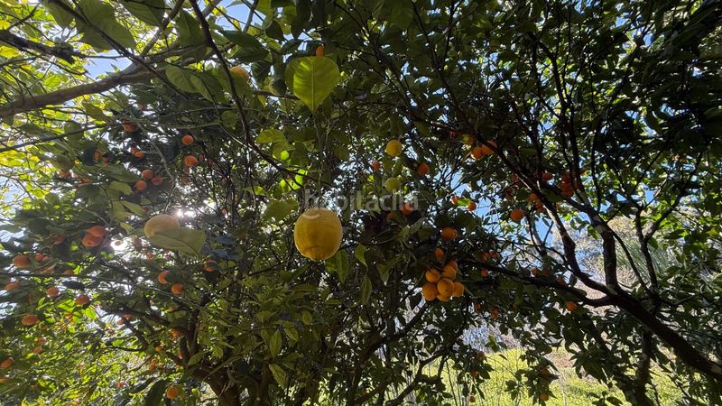 Foto 992ceb2c-6cb1-4c34-911e-9a1b5c5c9fa4. Masia amb aparcament piscina a Moya