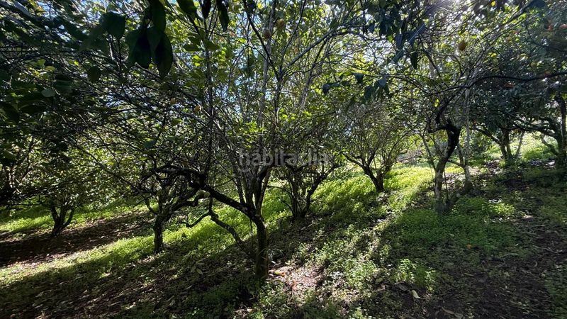 Foto 9c3665eb-da9b-4354-a99c-9cd22d636b0a. Masia amb aparcament piscina a Moya