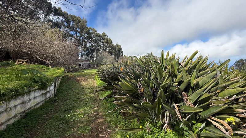 Foto 9dd45044-a71f-4b3c-bbe1-d4461d9b486c. Masia amb aparcament piscina a Moya