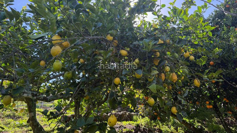 Foto a60416f9-3113-4bc7-a269-47fefc0a839d. Masia amb aparcament piscina a Moya