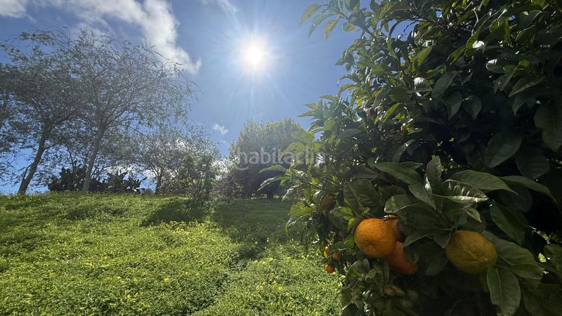 Foto aa8d4870-2854-4135-9630-dd042b838e9f. Masia amb aparcament piscina a Moya