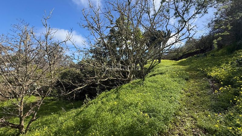 Foto aea94b19-958c-425e-80e1-84c6c23da1d3. Masia amb aparcament piscina a Moya