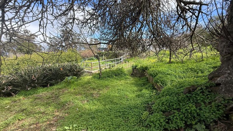 Foto b0046042-3fa0-4d54-a94b-7bf04d8ec201. Masia amb aparcament piscina a Moya