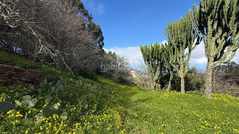 Foto c78503e8-ba74-4e0f-9fa7-c069fa832d1d. Masia amb aparcament piscina a Moya