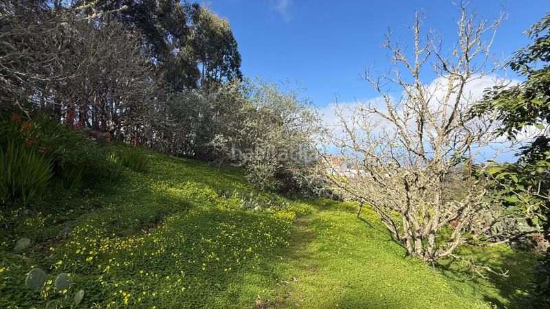 Foto dd37803c-49ba-4335-8005-fbf6b17e9a7b. Masia amb aparcament piscina a Moya