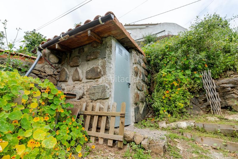 Foto 4bbcca36-d773-4077-96ff-157ed0e0801b. Finca rústica a calle de las rosadas 0 a Teror pueblo Teror