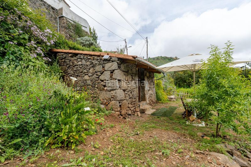 Foto 919f77d8-cb29-4302-988e-88628872d1b1. Finca rústica a calle de las rosadas 0 a Teror pueblo Teror