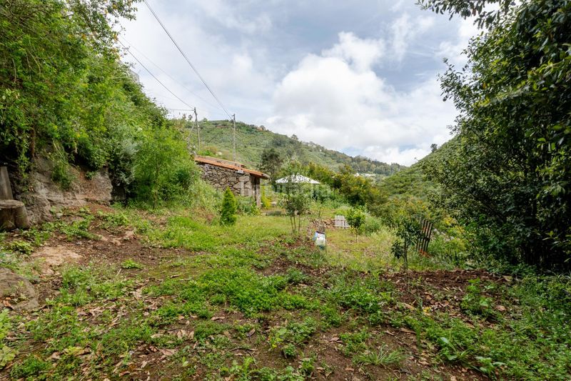Foto b02ce805-38d1-4d76-b992-542f783de294. Finca rústica a calle de las rosadas 0 a Teror pueblo Teror