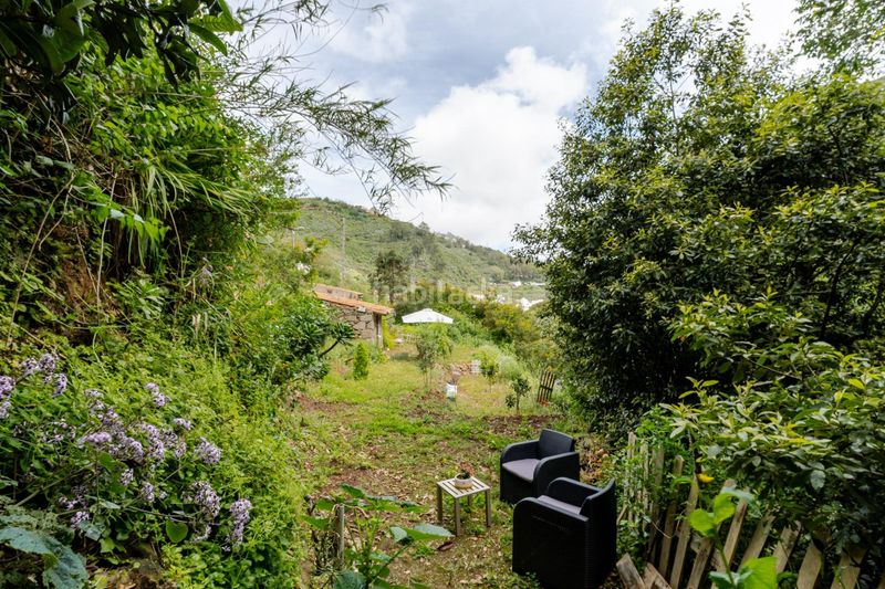 Foto be990c05-75b9-48be-9596-1e3a86af387f. Finca rústica a calle de las rosadas 0 a Teror pueblo Teror