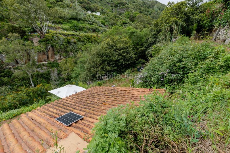 Foto d53cd95e-acd0-44b5-960e-c29241254980. Finca rústica a calle de las rosadas 0 a Teror pueblo Teror