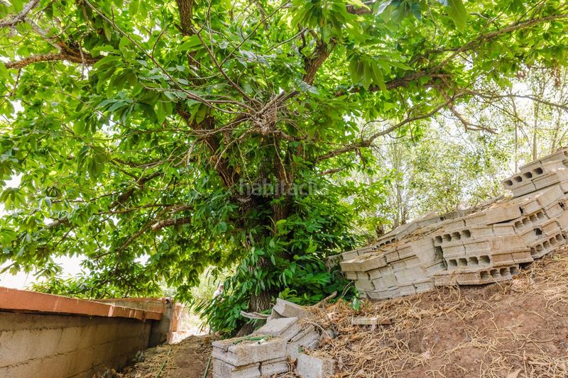 Foto b41c36e4-1511-4958-89b9-669f55eb8e04. Casa a calle corredor 13 a El Álamo - Arbejales Teror