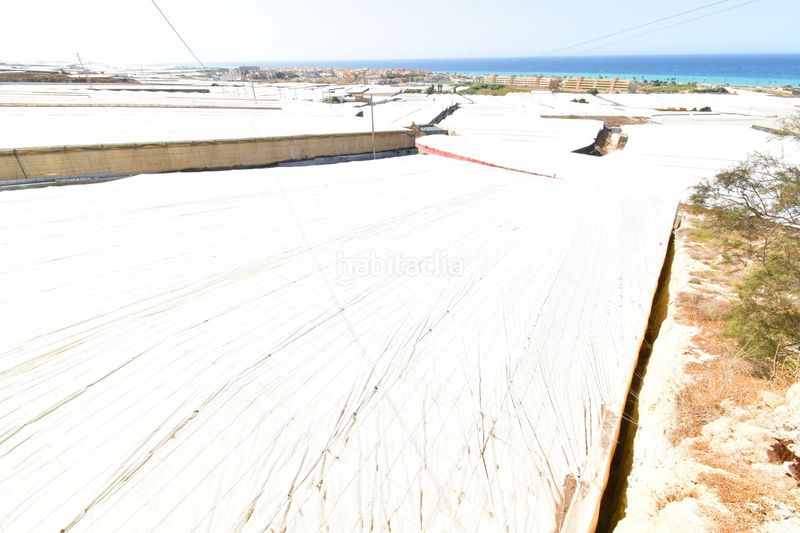 Foto e5d04d2c-63ab-4106-a3ff-0a0979d899f0. Finca rústica a Balerma Ejido (El)