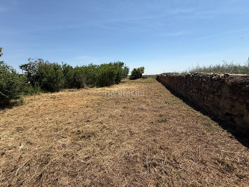 Foto cadf60c2-0427-4d14-b66b-f7f1ba9c7095. Casa a Villamontán de la Valduerna