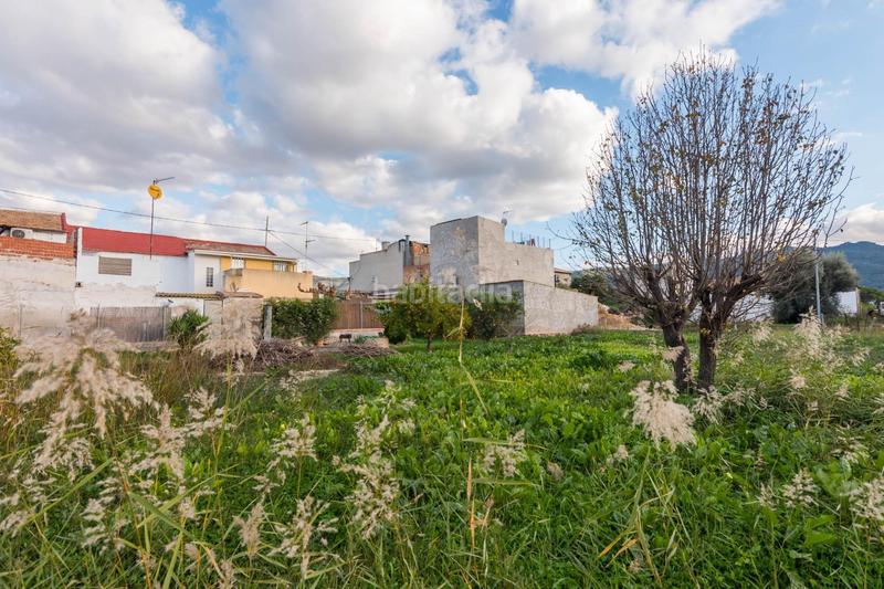 Foto 60db099b-295f-4f1b-b1dc-93c8a93ea168. Casa  con terreno santa catalina en Alberca Murcia