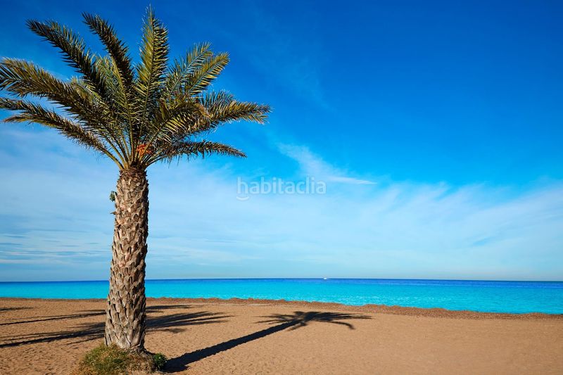 Foto a21ebecb-7018-40c3-8452-d358664e570b. Àtic amb piscina a Les Bassetes - El Marjal Dénia