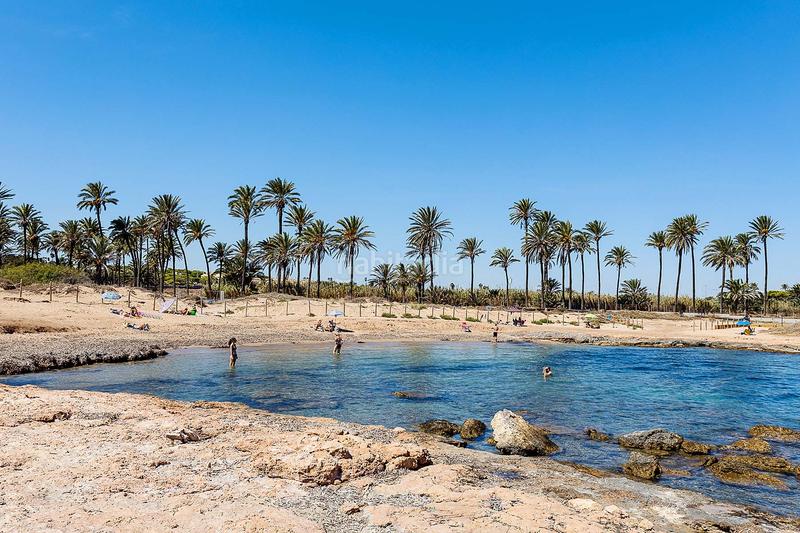 Foto 2f859a29-e89f-428e-a29a-2414d81275a4. Apartament amb piscina a Punta Prima Torrevieja