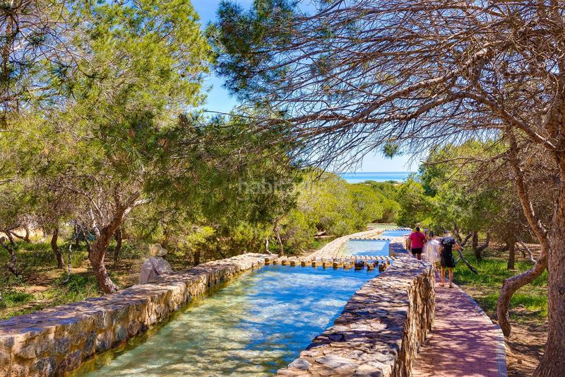 Foto 3c6319e9-9c9e-45c4-b5c7-db8d8f76371f. Appartement mit parking pool in Cañada del Molino Torrevieja