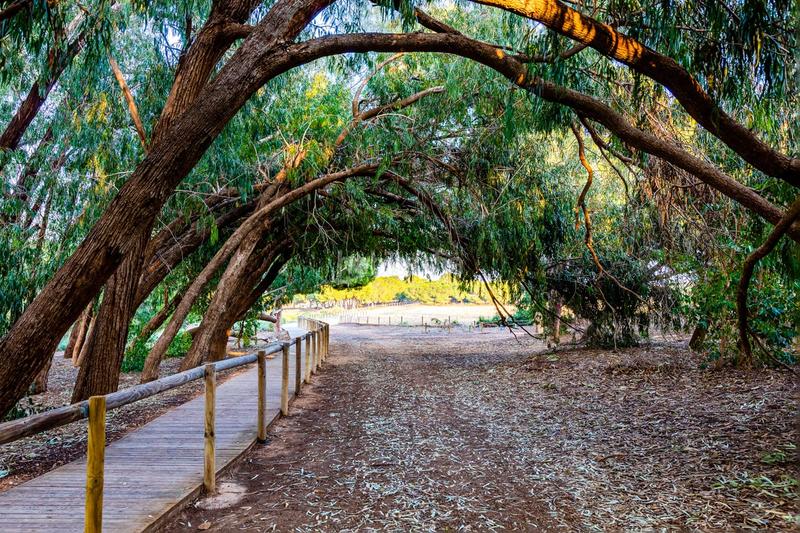 Foto 8f0748b4-e3cb-44fa-8455-97f1c7a04d48. Appartement mit parking pool in Cañada del Molino Torrevieja