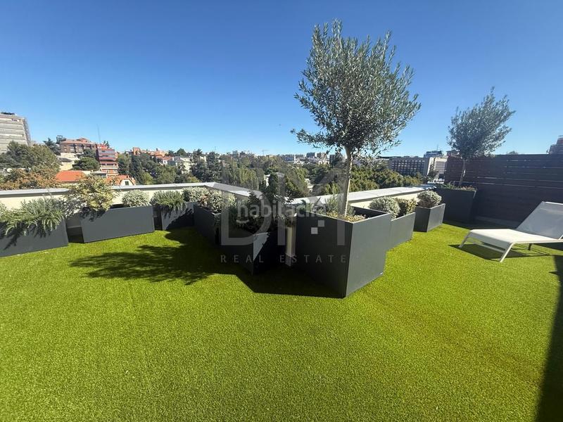 Foto fe131e8d-825b-41ec-9ab9-0481e4ef38fc. Alquiler ático en Castellana Madrid