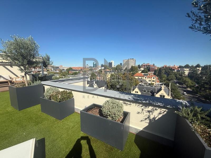 Foto ff0b9869-5637-4a31-a694-b26f1598fdef. Miete dachwohnung in Castellana Madrid