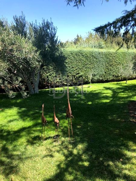 Foto 13cf8f35-faa2-4ffd-9e98-8148b175e92e. Casa amb aparcament piscina a Pioz