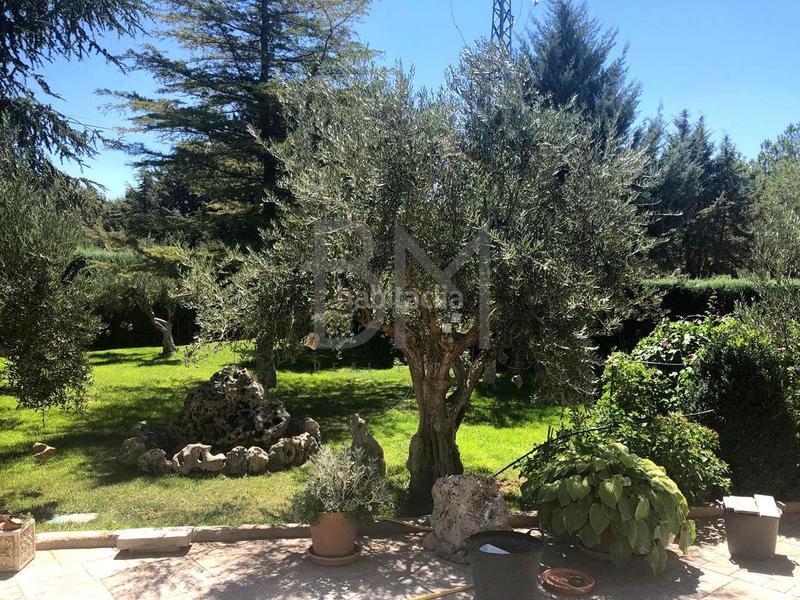 Foto 28617b9e-22d7-4729-b248-94edb4db1a4c. Casa amb aparcament piscina a Pioz