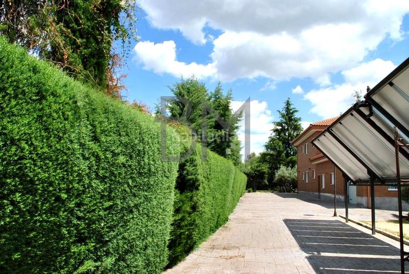 Foto 56125615-8a72-452d-8761-4e884c6d08f8. Casa amb aparcament piscina a Pioz