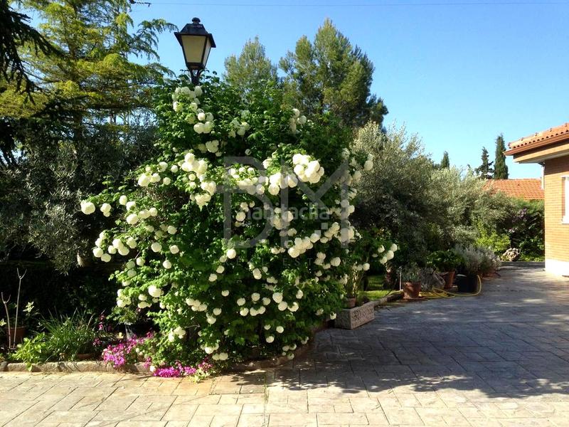 Foto fb9c23de-aac4-4936-b315-33ff768ba884. Casa amb aparcament piscina a Pioz