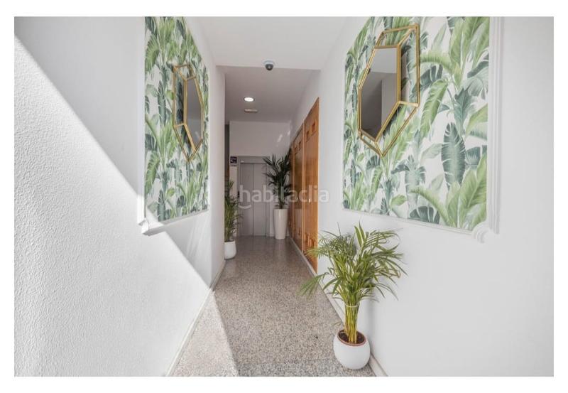 Foto 076194f3-918e-45eb-835d-4d3c7fb7ce19. Rent flat in La Zubia Ciudad Zubia (La)