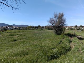 Finca rústica en Villa de Otura. Finca vega cirla otura