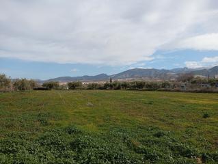 Propriété à Otura. Vega pago del cerro otura