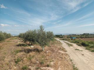 Finca rústica en Calle principe felipe 9. Finca vega otura 10.000 m2