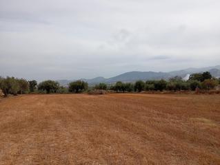 Finca rústica en Villa de Otura. Finca regadio otura