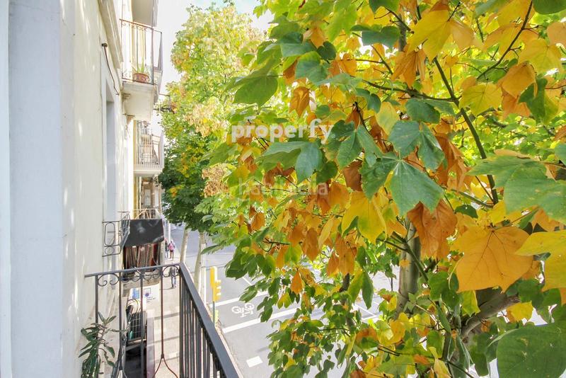 Foto e9a14e9c-2e8d-4d18-80ba-4e73d103addd. Pis amb calefacció a La Devesa Girona