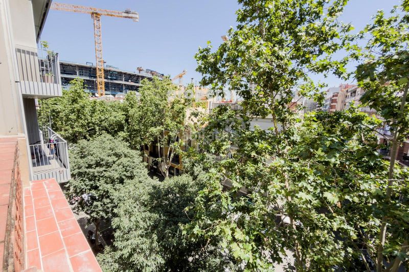 Foto c60353e4-a1c4-4f8f-9cce-4b23dd13dd44. Pis a Sant Ramon - Maternitat Barcelona