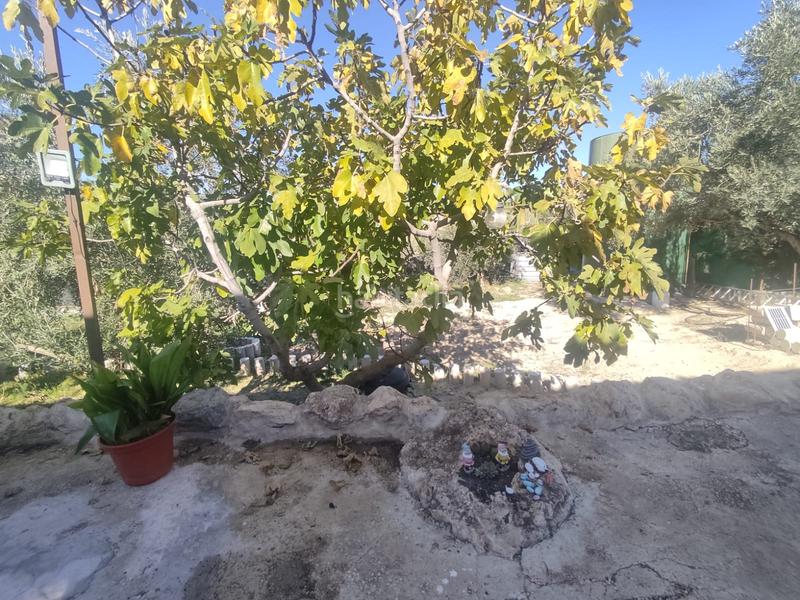 Foto 0035cc40-9c5f-4f9c-9ba2-df5fe357aa69. Landgut in diseminado puerto alto 173 in Puente Jontoya - Puente de la Sierra - El Arroyo Jaén