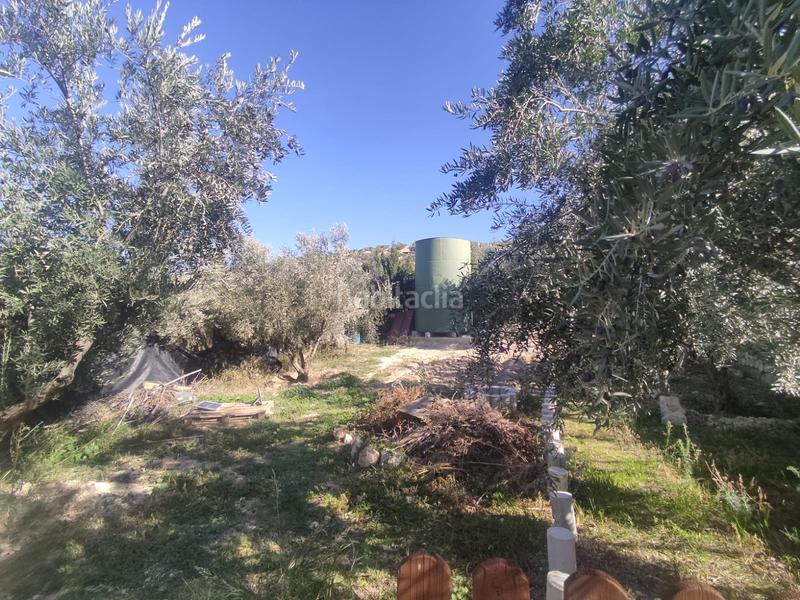 Foto e1f47cb0-b112-4473-a168-a4039257cd19. Landgut in diseminado puerto alto 173 in Puente Jontoya - Puente de la Sierra - El Arroyo Jaén