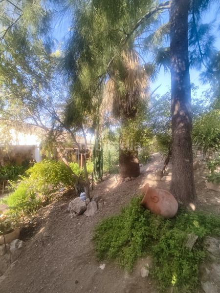 Foto 27724936-12f4-4312-8c99-7eaeed5db7e6. Chalet en carretera torrequebradilla 1 ?? exclusivo chalet en paraje el caimbo – carretera torrequebradilla, en Jaén