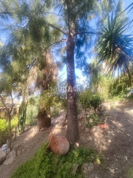 Foto 6b6545dd-a54a-4bdb-828d-6b3ace981dd0. Chalet en carretera torrequebradilla 1 ?? exclusivo chalet en paraje el caimbo – carretera torrequebradilla, en Jaén
