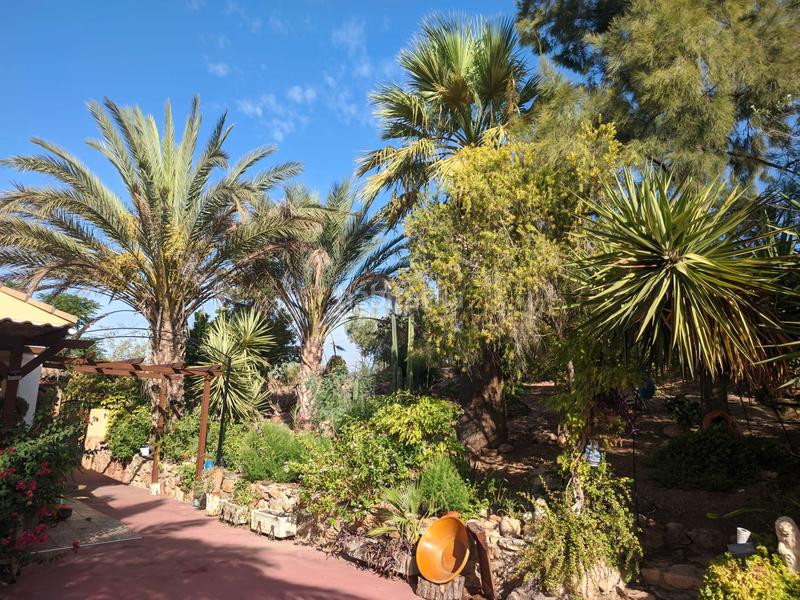 Foto 9511baf0-3c1f-461b-b782-025714fd3a5b. Chalet en carretera torrequebradilla 1 ?? exclusivo chalet en paraje el caimbo – carretera torrequebradilla, en Jaén