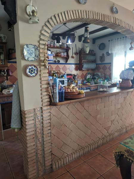 Foto ee6d5c03-383a-44f6-bd81-6a73802270c9. Chalet en carretera torrequebradilla 1 ?? exclusivo chalet en paraje el caimbo – carretera torrequebradilla, en Jaén